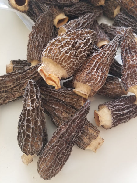Grade A Dried Morel Mushrooms — 1 oz Sample $9.95