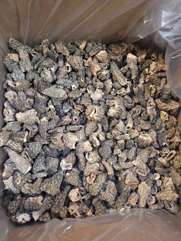 Dried Morel Mushrooms