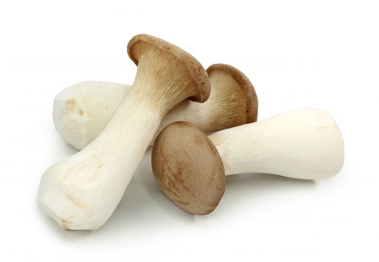 Fresh Cultivated King Trumpet Mushrooms