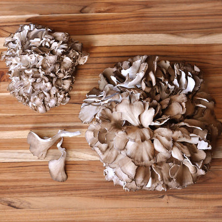 Fresh Cultivated Maitake (Hen Of The Woods Mushrooms)