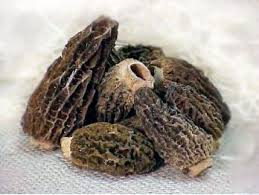 Frozen Morel Mushrooms For Sale, Fresh Frozen Morels – Morelmasters